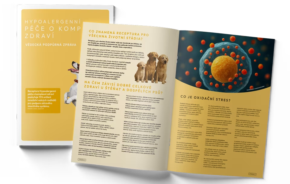 Healthy-Living-Technical-Guide